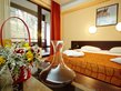 Thermal Hotel Aspa Vila - Double room mountain view